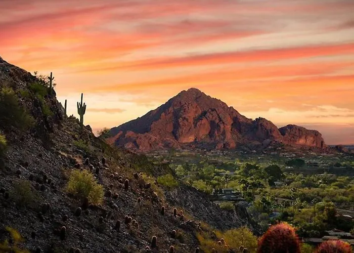 The Scottsdale View